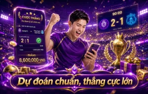 spruceanddandy Thể Thao - giao diện kèo live