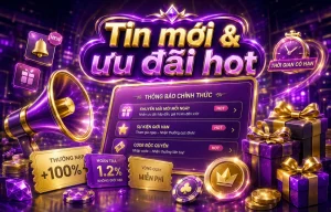 Tin tức spruceanddandy