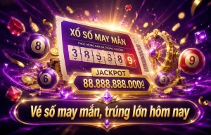 Xổ Số spruceanddandy
